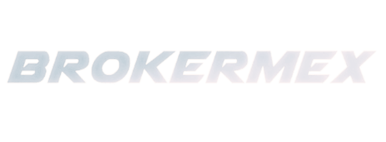 Brokermex logo