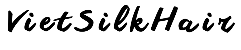 VietSilkHair logo