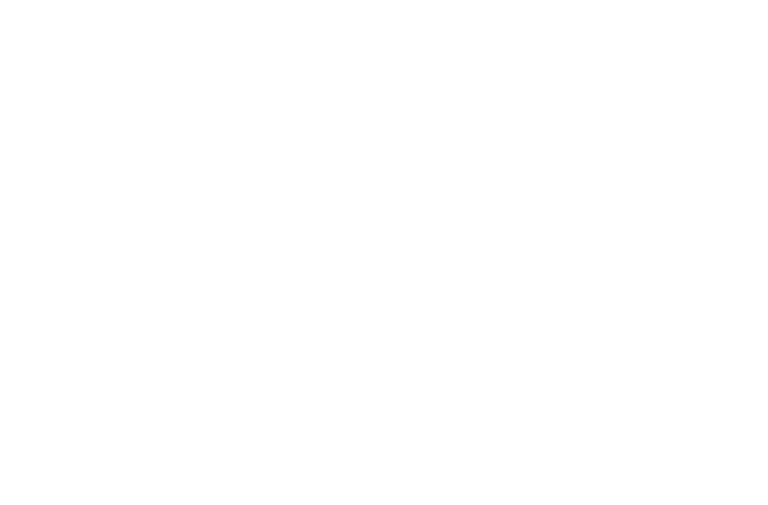 Dusty Belle Candles logo
