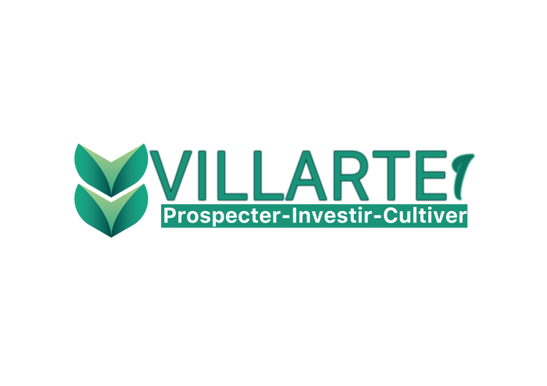 Villarte 1 logo