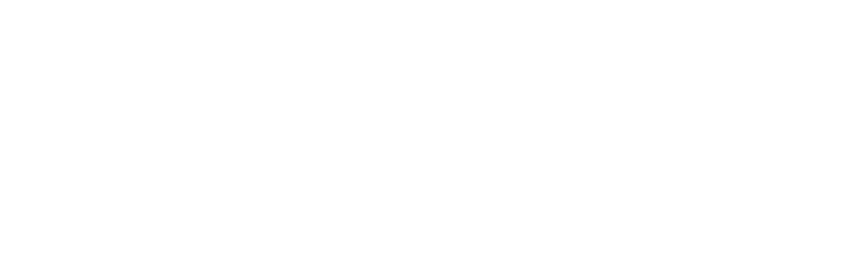 Saffronexch logo