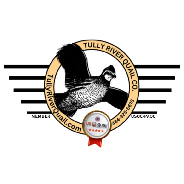 Jumbo's Quail logo
