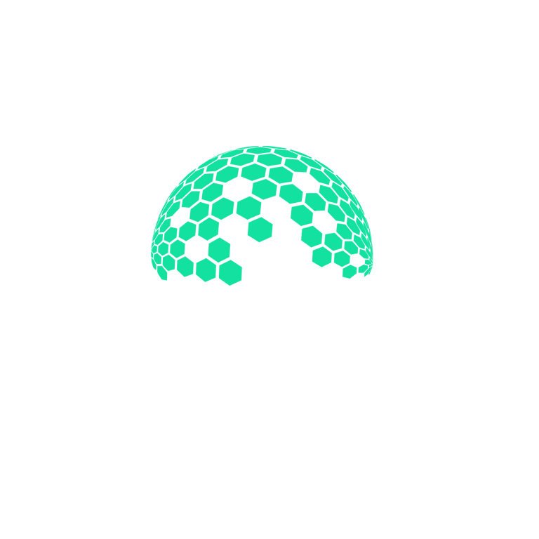 Static Network logo