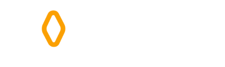 noctiluz logo