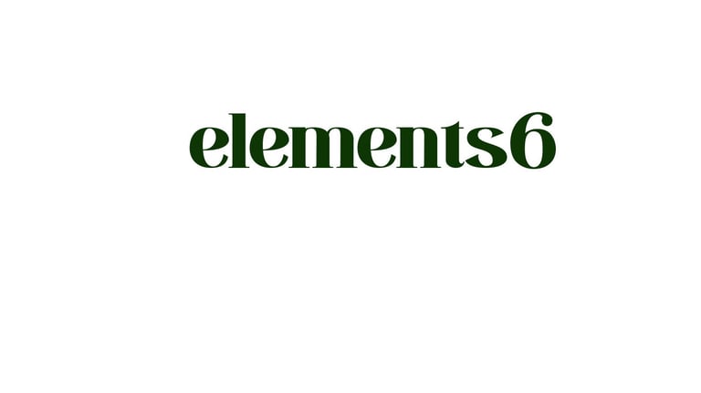 elements6, supplements adaptogens, tea, juice, natural wellness, seamoss, plant source logo