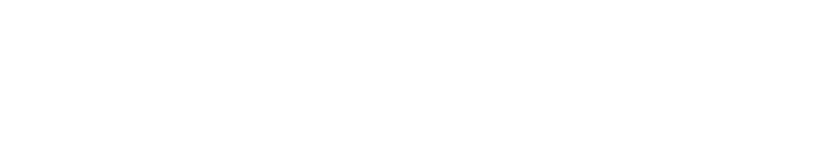 Wise Bear Publishing and Distribution logo