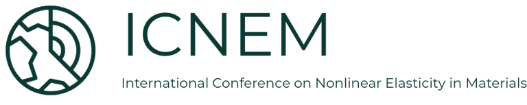 ICNEM, International Conference on Nonlinear Elasticity in Materials, geophysics logo