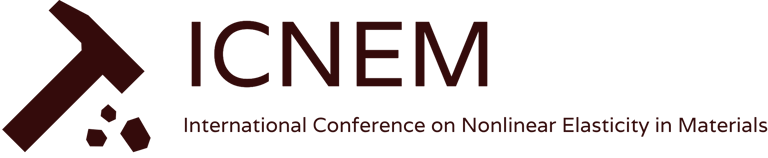 ICNEM, International Conference on Nonlinear Elasticity in Materials, geophysics logo