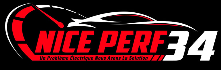 Niceperf34 logo