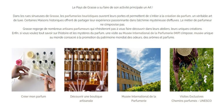 Photo arbres typiques Provence Grasse photographe Var.