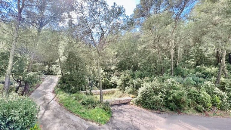 Perspective aérienne accès forêt et environnement calme Dardennes Vidéaste drone