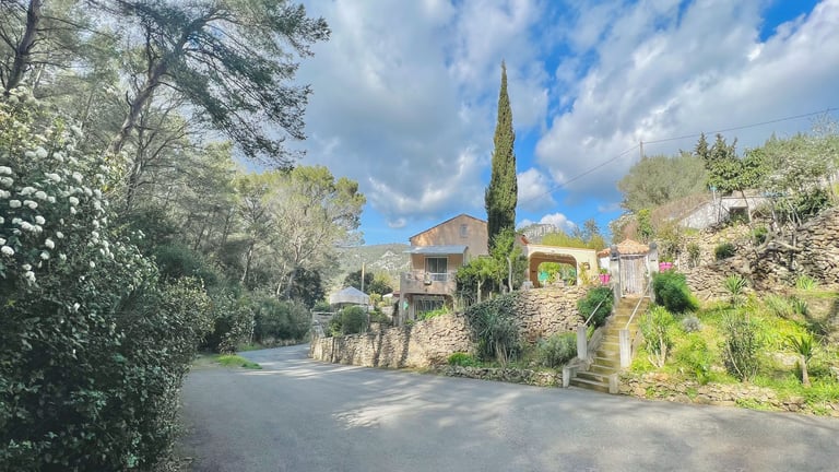 Paysage provençal vu du ciel maison intégrée pinède Photographe immobilier