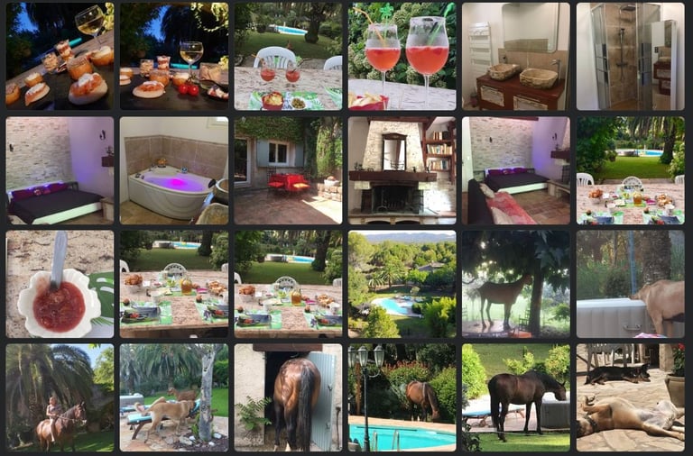Ambiance soirée piscine animaux Photographe immobilier Var 83