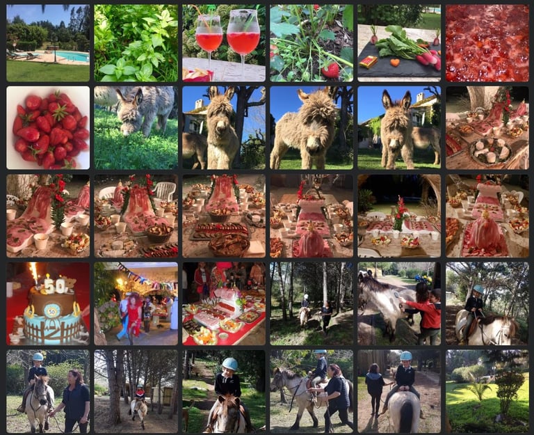 Combinaison villa animaux haras Photographe immobilier Var