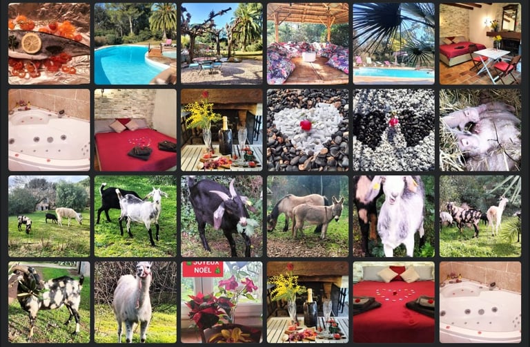 Instants vie haras événements Photographe immobilier Var