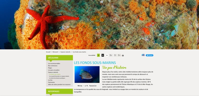 Les services d'un photographe immobilier à Toulon avec images et vidéos par drone