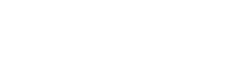 roteparadise.id logo