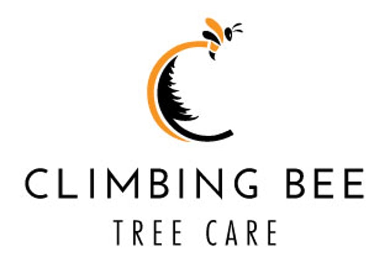 Climbing Bee logo