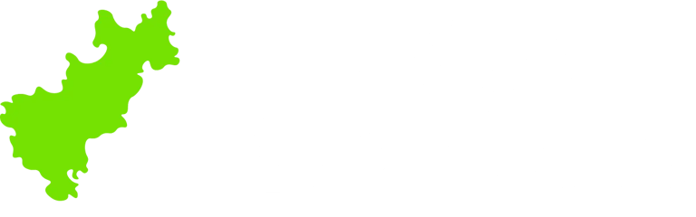 Luz Verde Querétaro logo