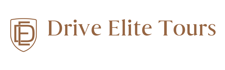 Drive Elite logo