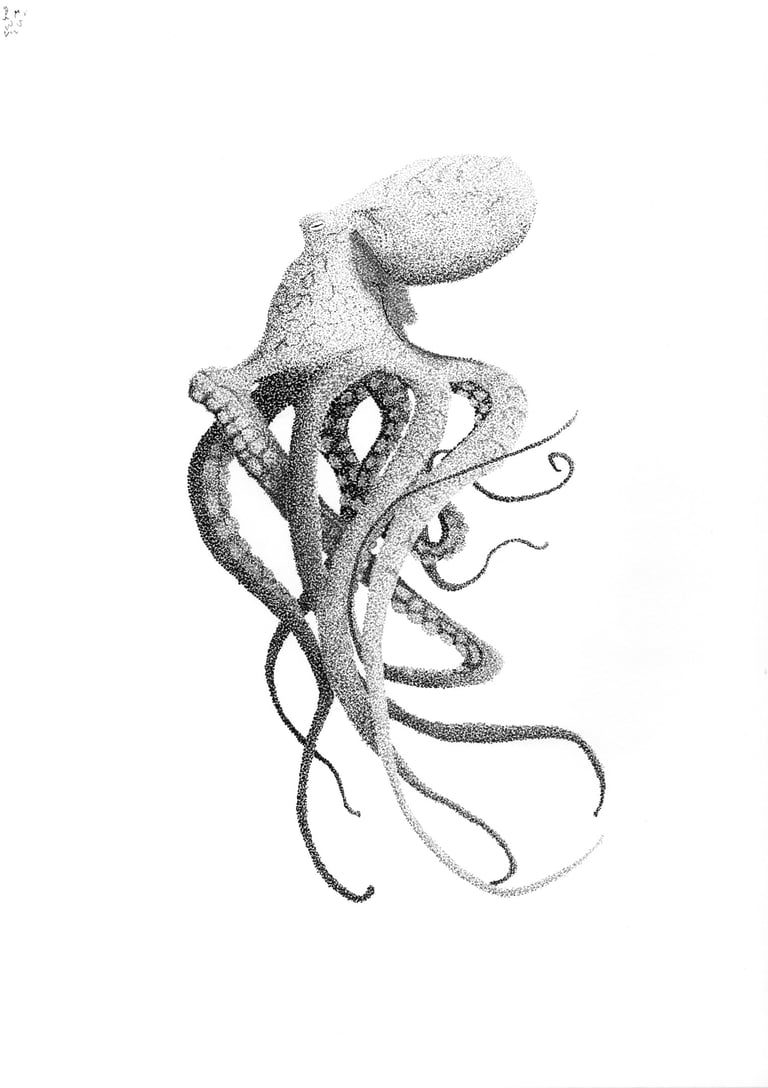 Octopus in black and grey ink