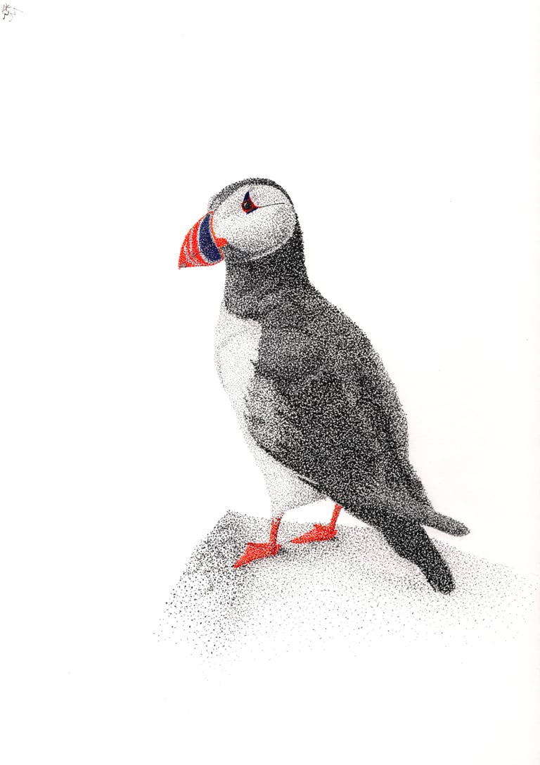 Pointallistic drawing of a puffin in plack, gret, orange red, and blue