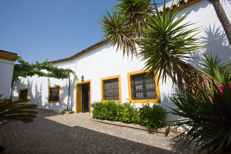 Inside view of Pettersen Brandy's renowned bodega located in Jerez de la Frontera, captured in an image.