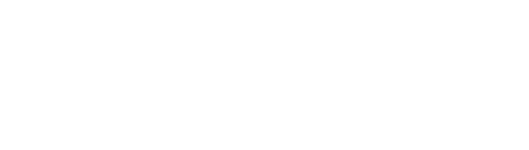 Secret Tracks logo