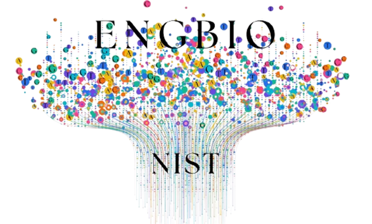 INCT Eng Bio logo