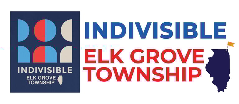 Indivisible Elk Grove Township logo