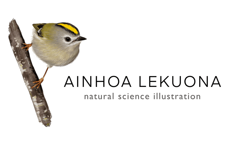 AINHOA LEKUONA logo
