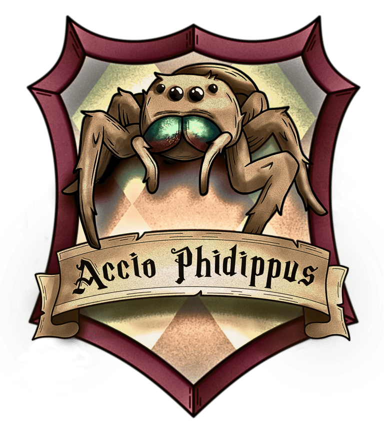 Accio Phidippus logo