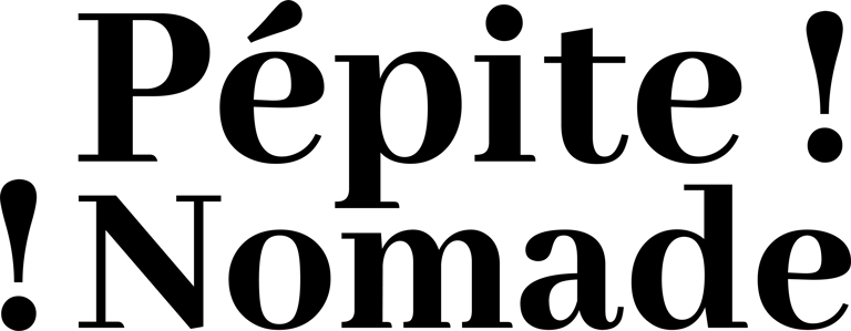 Pepite Nomade Academy logo