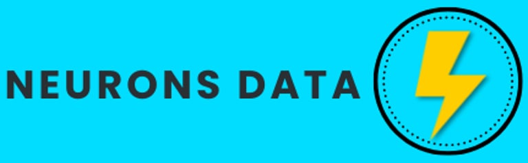 Neurons Data logo