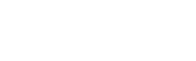 Finesse logo