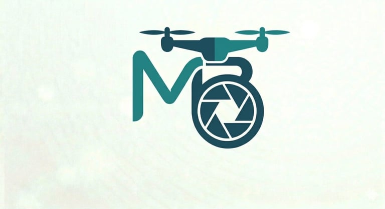 barontini mauro logo