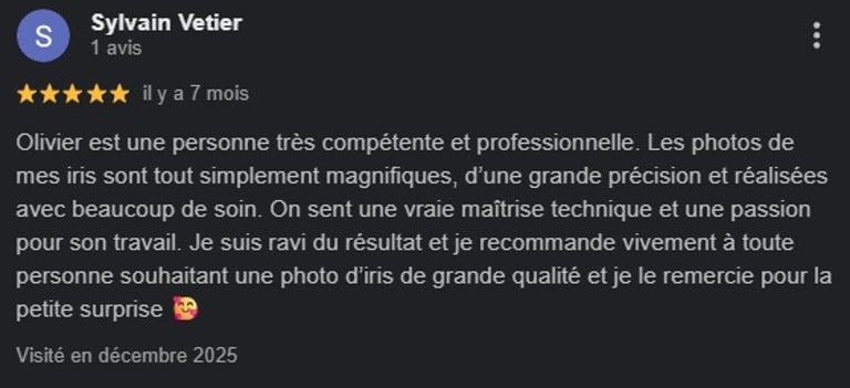 Avis Google Iris Rennes Saint-Malo