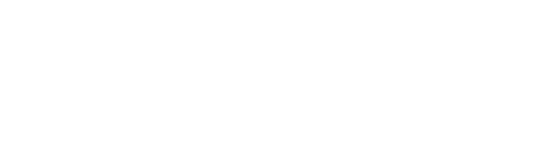 Secret Sense logo