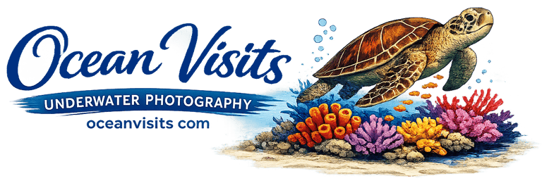 Ocean Visits Underwater Photography logo