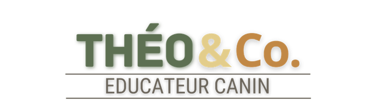 THÉO & Co. logo