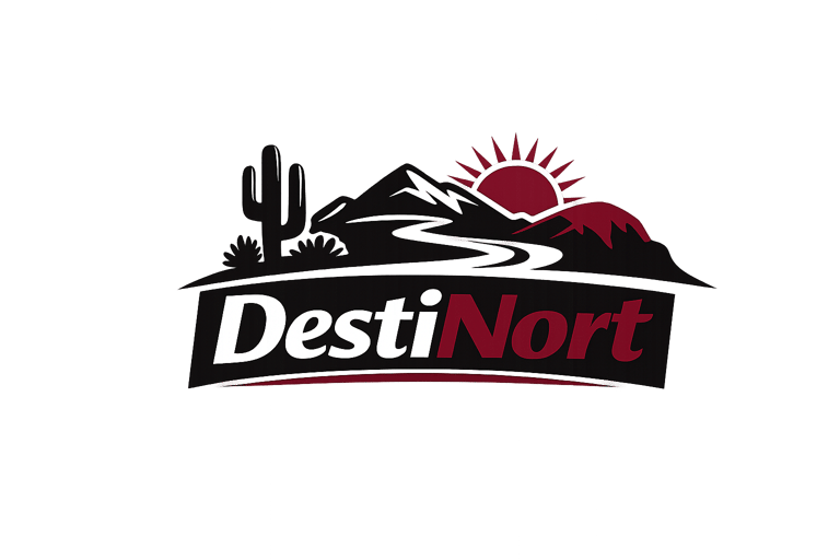 Destinort logo