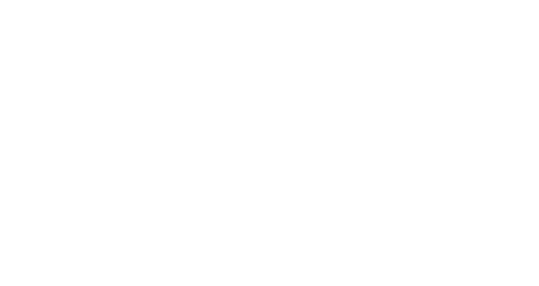 Streetboarder Mag logo