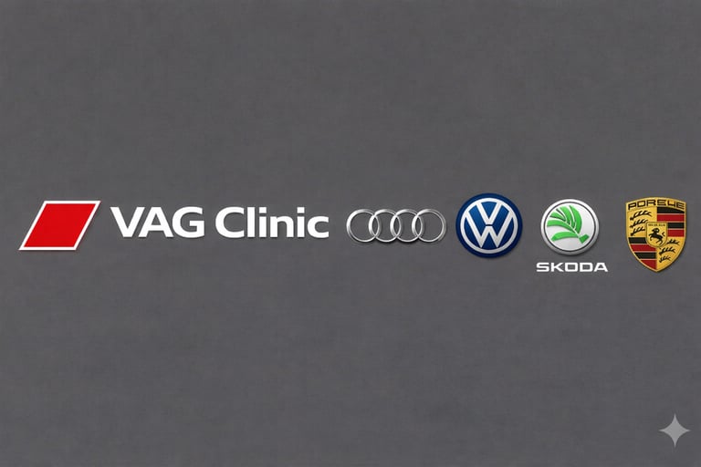 VAG Clinic Servis logo
