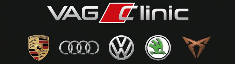 VAG Clinic Servis logo
