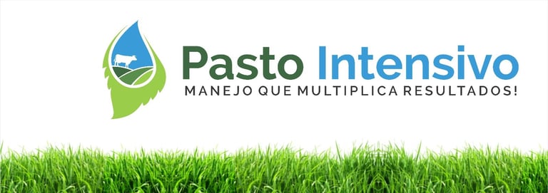 CONSULTORIA  EM PASTAGEM logo