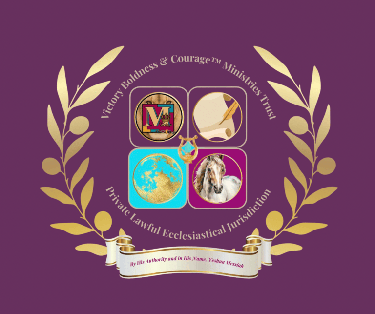 Victory Boldness & Courage Ministries Trust logo