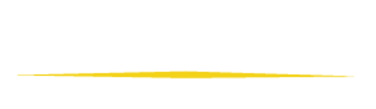 Lisa Willner for KY House logo