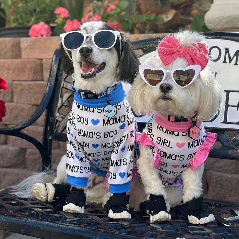 Perritos con outfit de mama'boy y mama's girl para galeria de fotos
