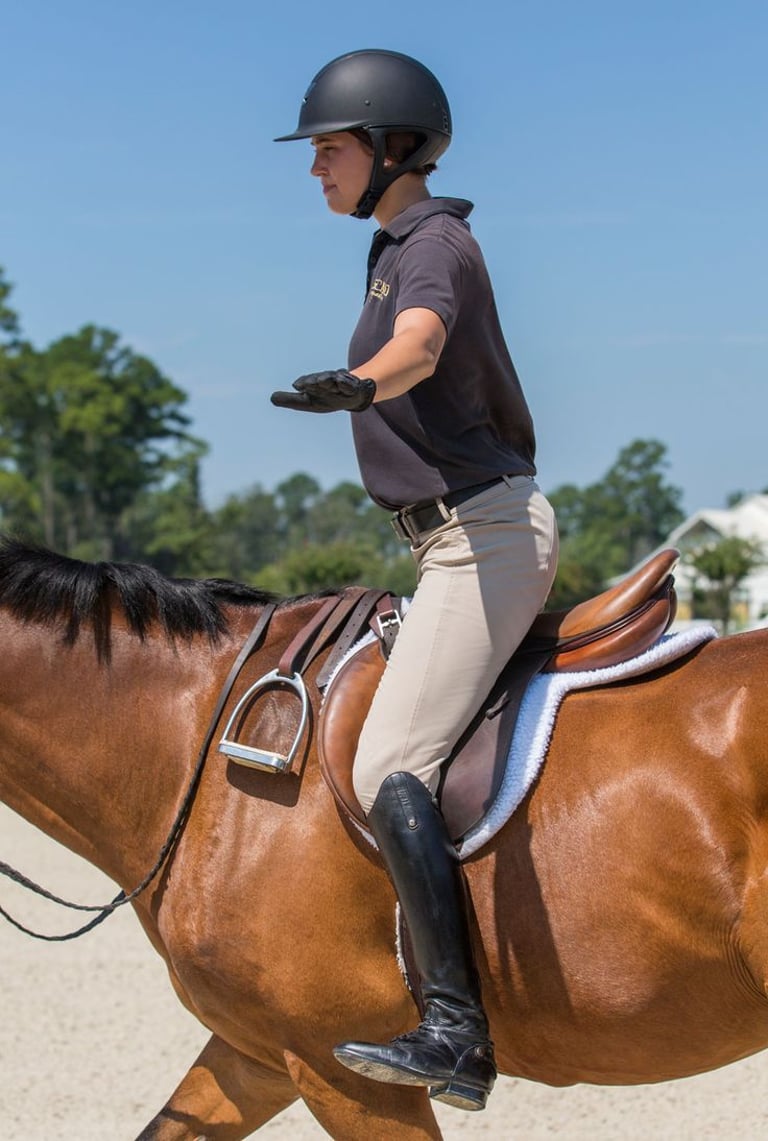 Cours d'Équitation