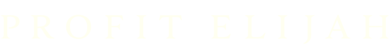 NoirVibe logo